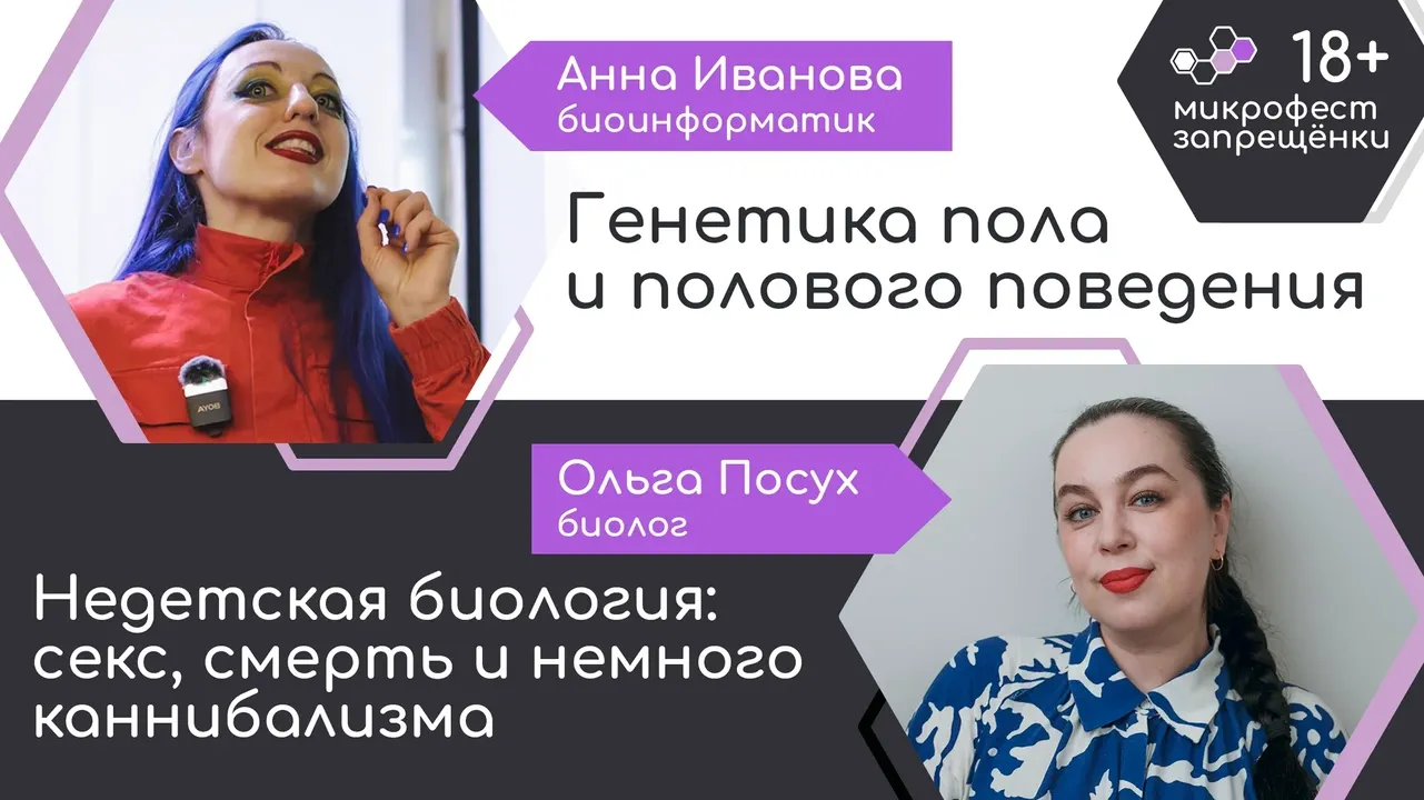 МикроФест «Запрещёнки». Строго 18+!